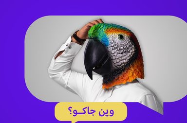 تطبيق سيحل محل تيك توك في المملكة العربية السعودية فما هي تفاصيله؟